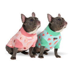 Spark Paws t-shirt chien protection UV SPF30 pastèque-pêche