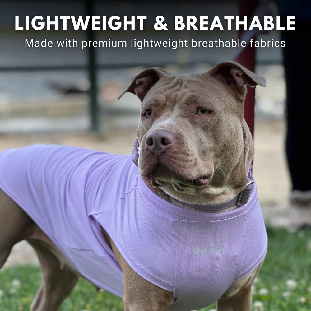 Spark Paws t-shirt chien usage extérieur, parfait pour balades en été.