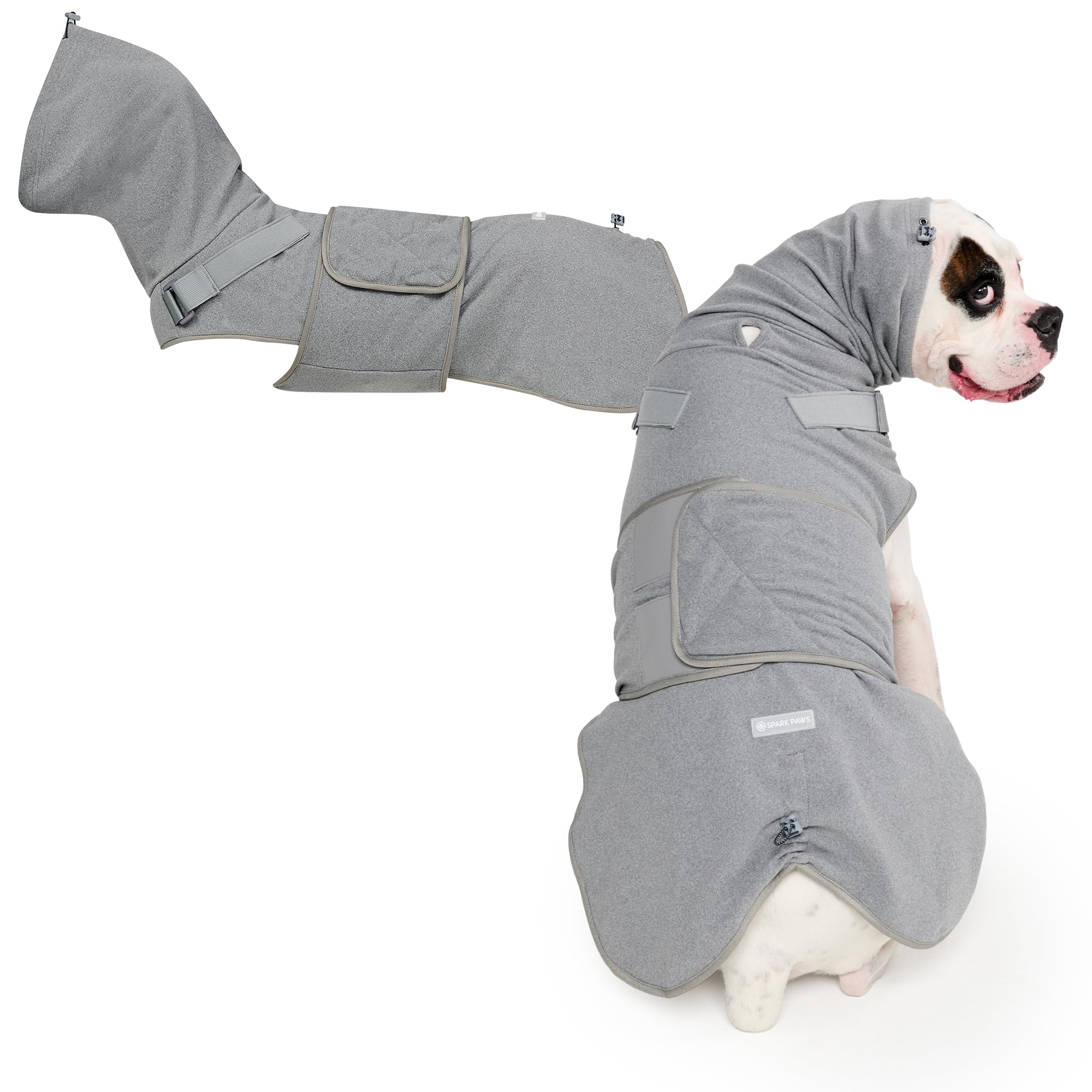 Veste Spark Paws portée par un chien, apaisement possible pendant les sorties.