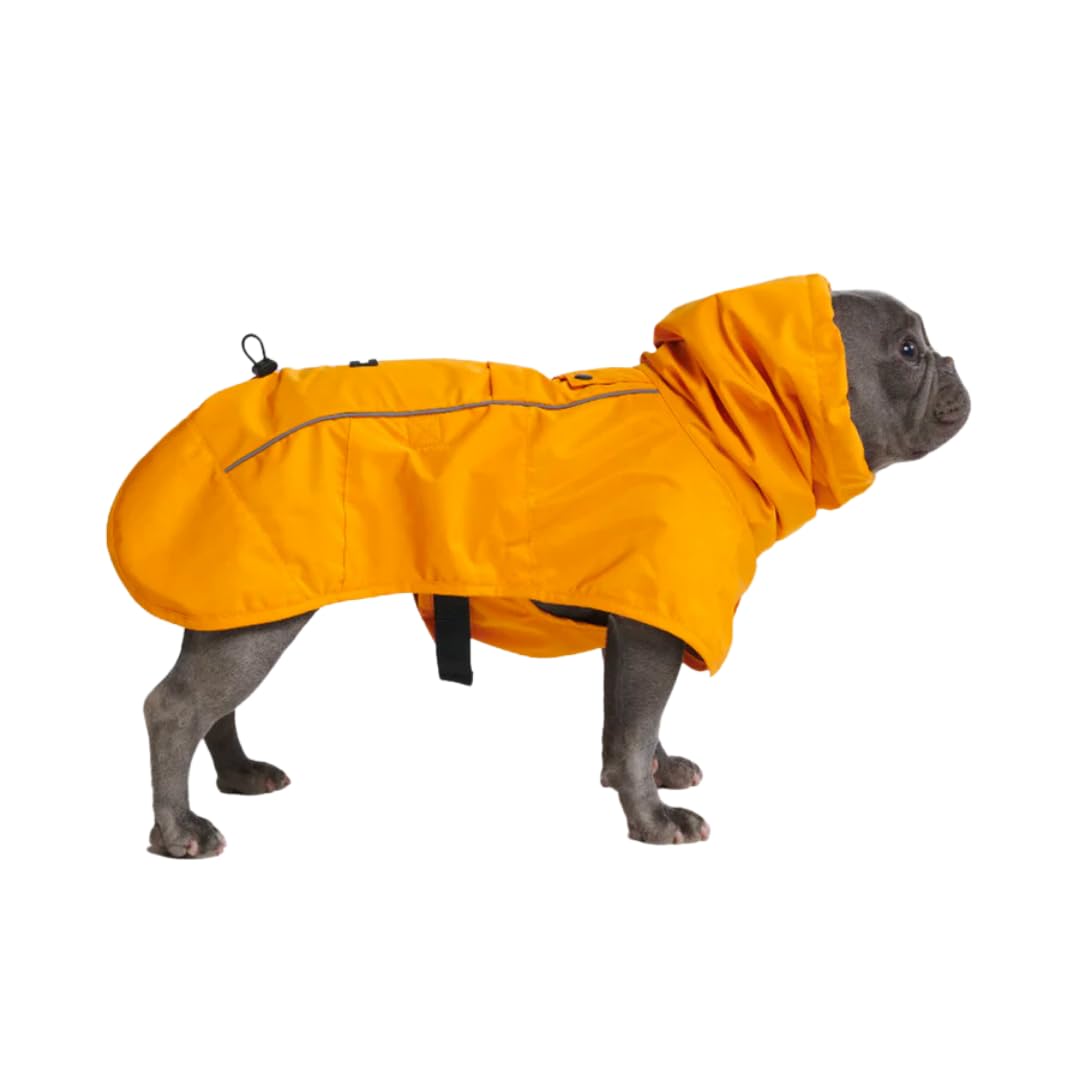 Veste Spark Paws imperméable pour chien – couverture complète protège contre pluie et vent.