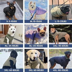 Spark Paws veste hivernale pour chien – vue arrière, isolation durable et ajustement.