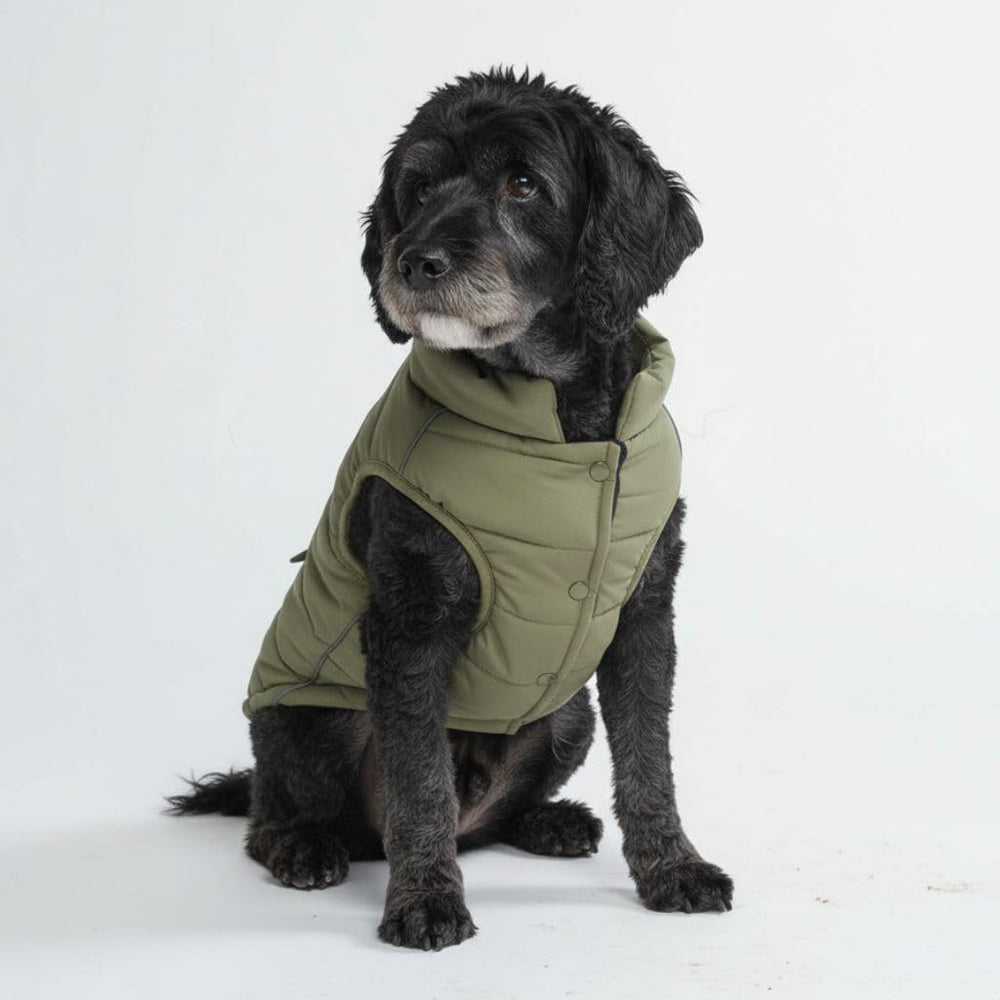 Spark Paws veste hivernale pour chien – vue avant, protège du froid et du vent.