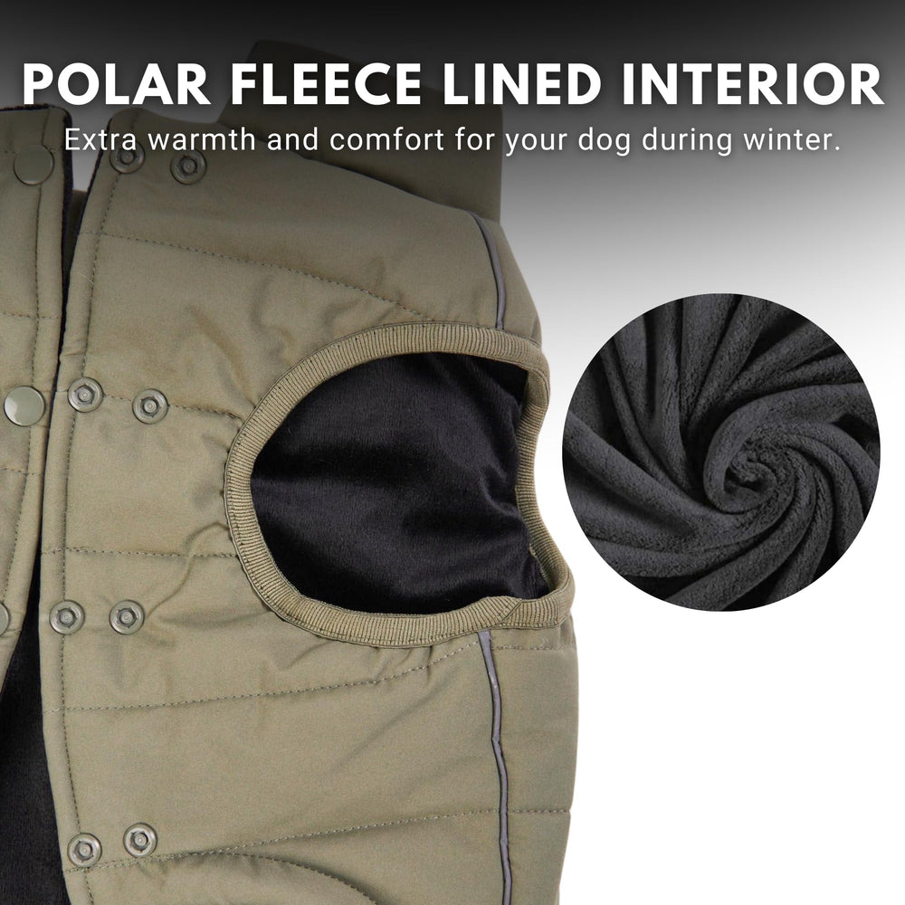 Spark Paws veste hivernale pour chien – bandes réfléchissantes pour sécurité nocturne.