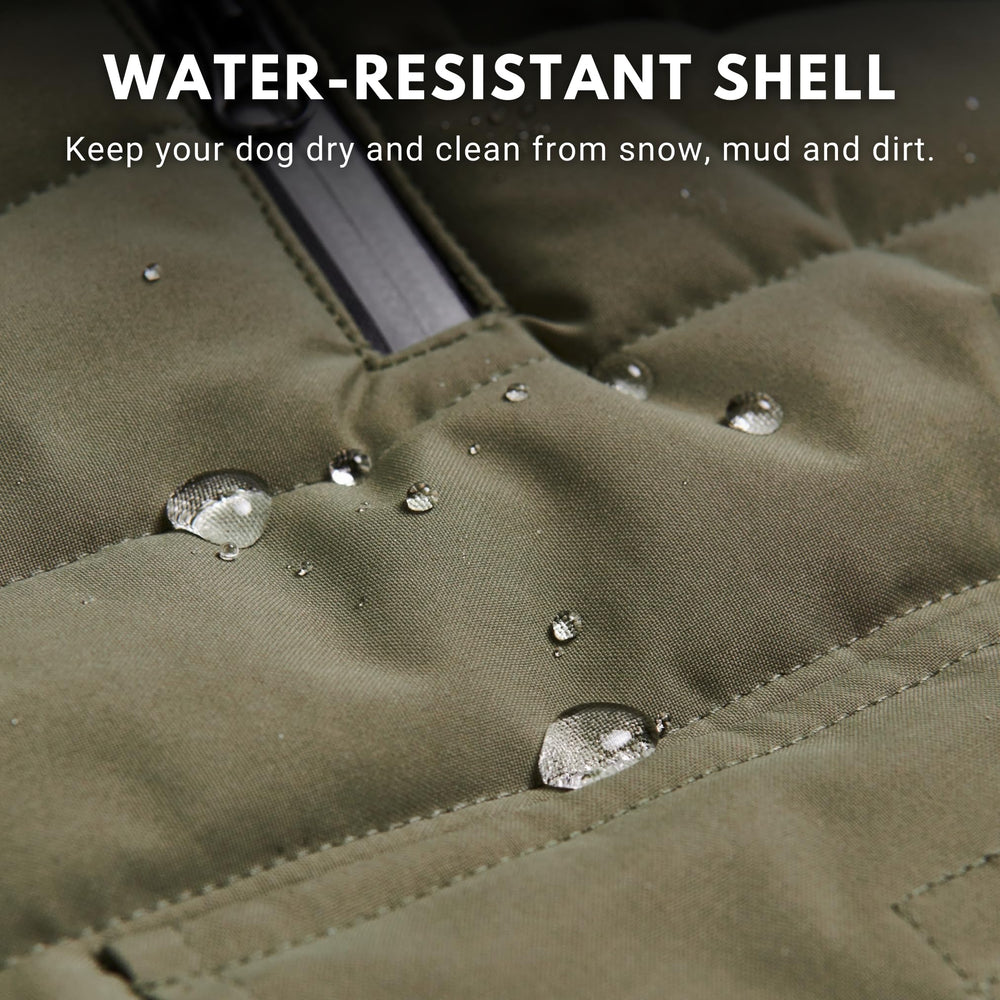 Spark Paws veste hivernale pour chien – ouverture-trou pour laisse, pratique.