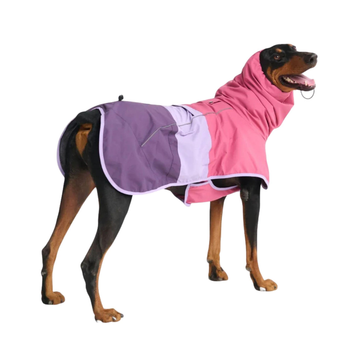 Spark Paws Veste Pluie Chien, couverture totale protégeant tout le corps lors des sorties pluvieuses.