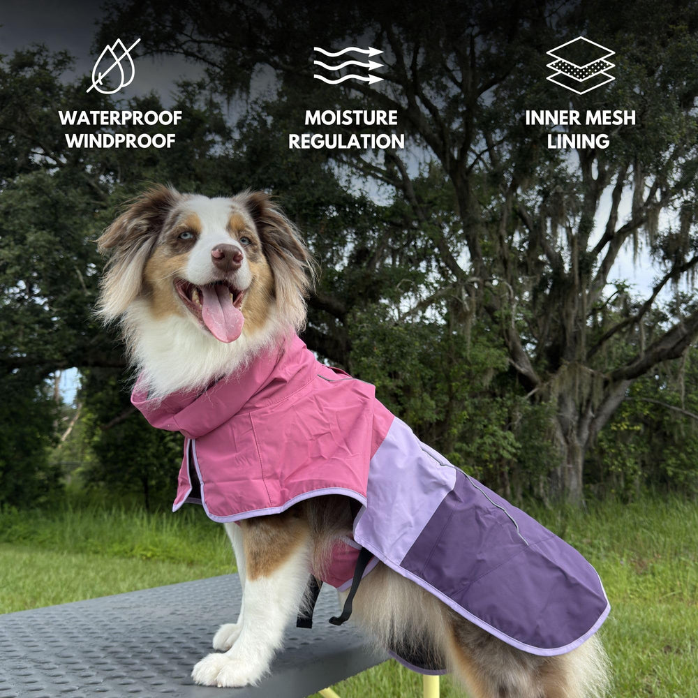 Spark Paws Veste Pluie Chien, plaques réfléchissantes améliorent la sécurité lors des promenades nocturnes.