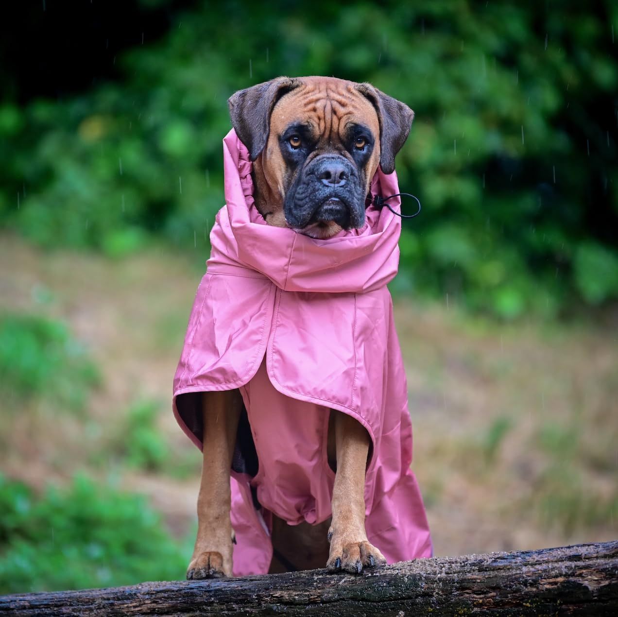 Spark Paws Veste Pluie Chien, réglage des pattes arrière pour pauses toilettes faciles.
