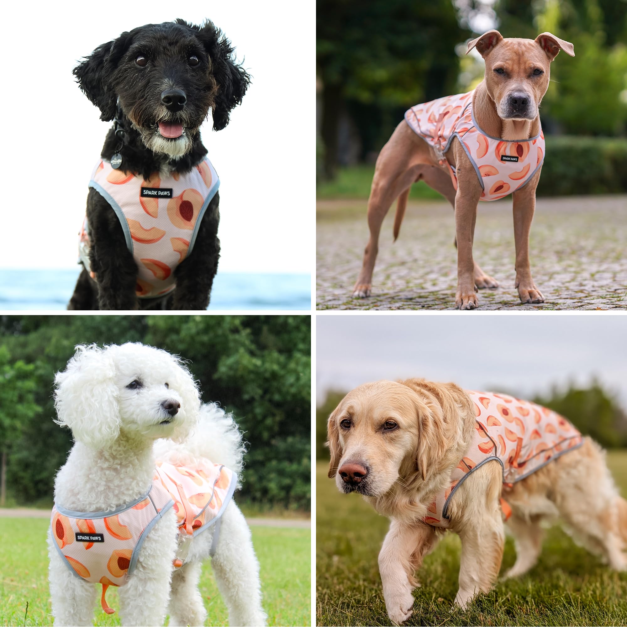 Éléments réfléchissants Spark Paws pour une meilleure visibilité.