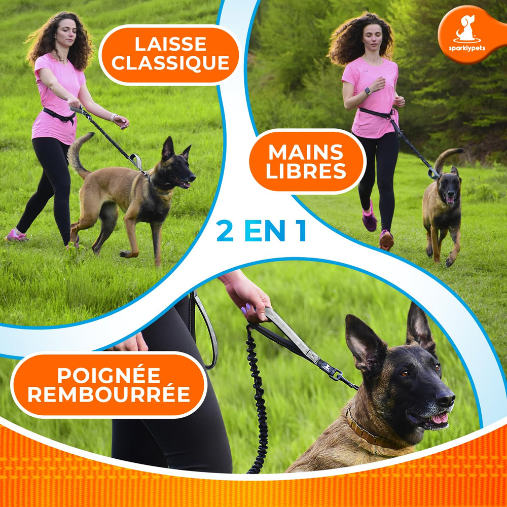 SparklyPets coutures réfléchissantes améliorant la visibilité lors des sorties nocturnes.
