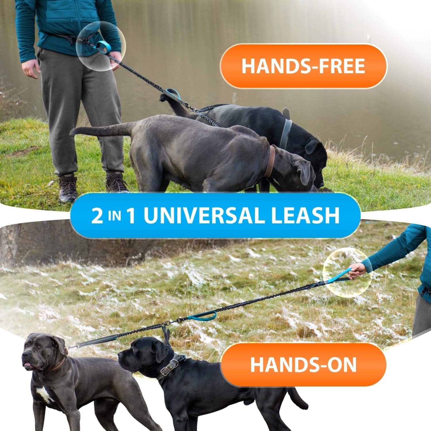 SparklyPets crochets en acier inoxydable renforcés, sécurité accrue pour deux chiens.