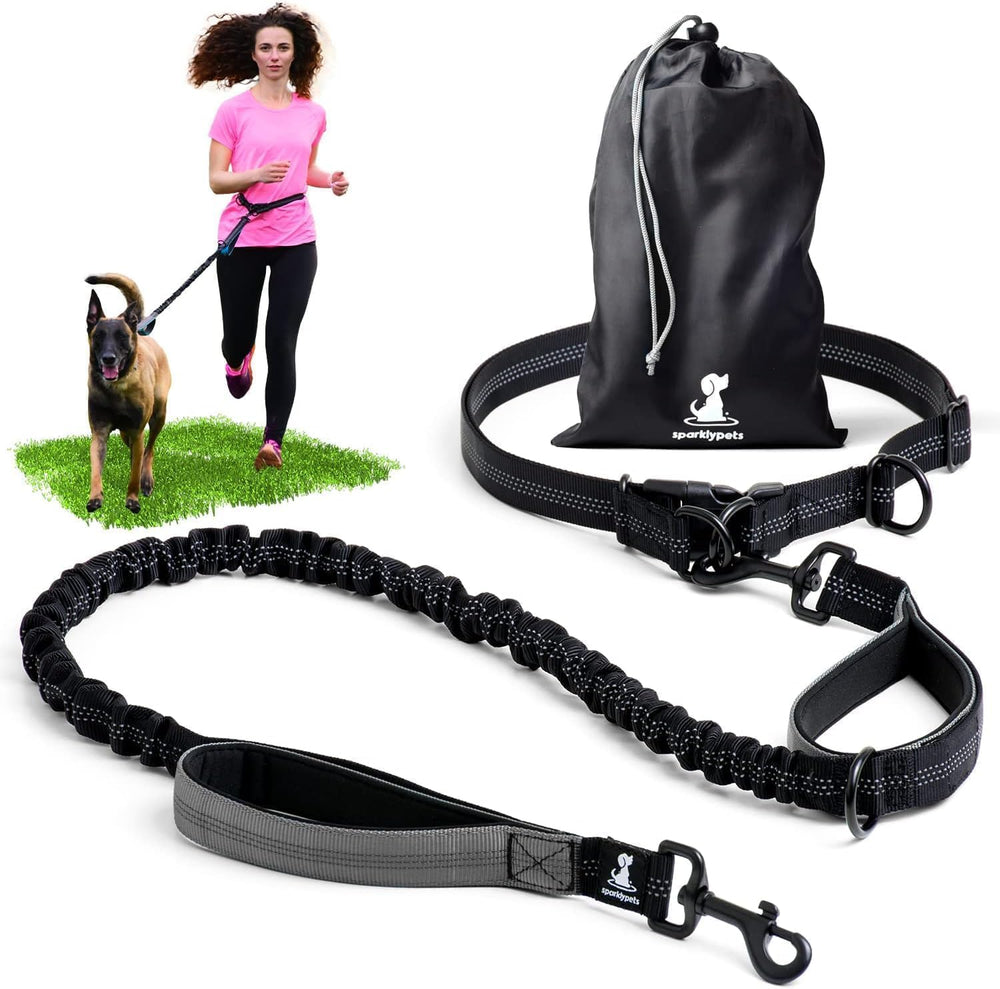SparklyPets laisse-ceinture main libre avec coutures réfléchissantes pour la sécurité nocturne.