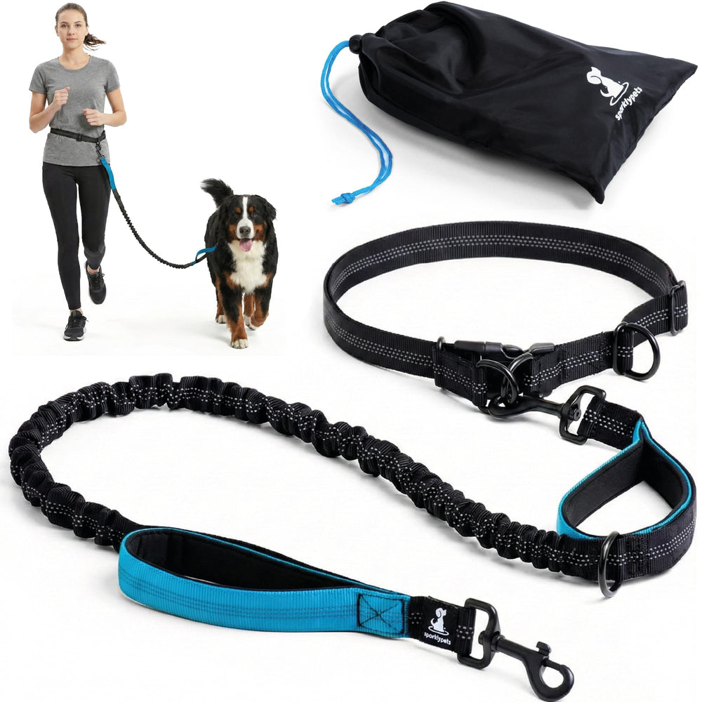 SparklyPets laisse ceinture réfléchissante pour chien, visibilité nocturne améliorée.