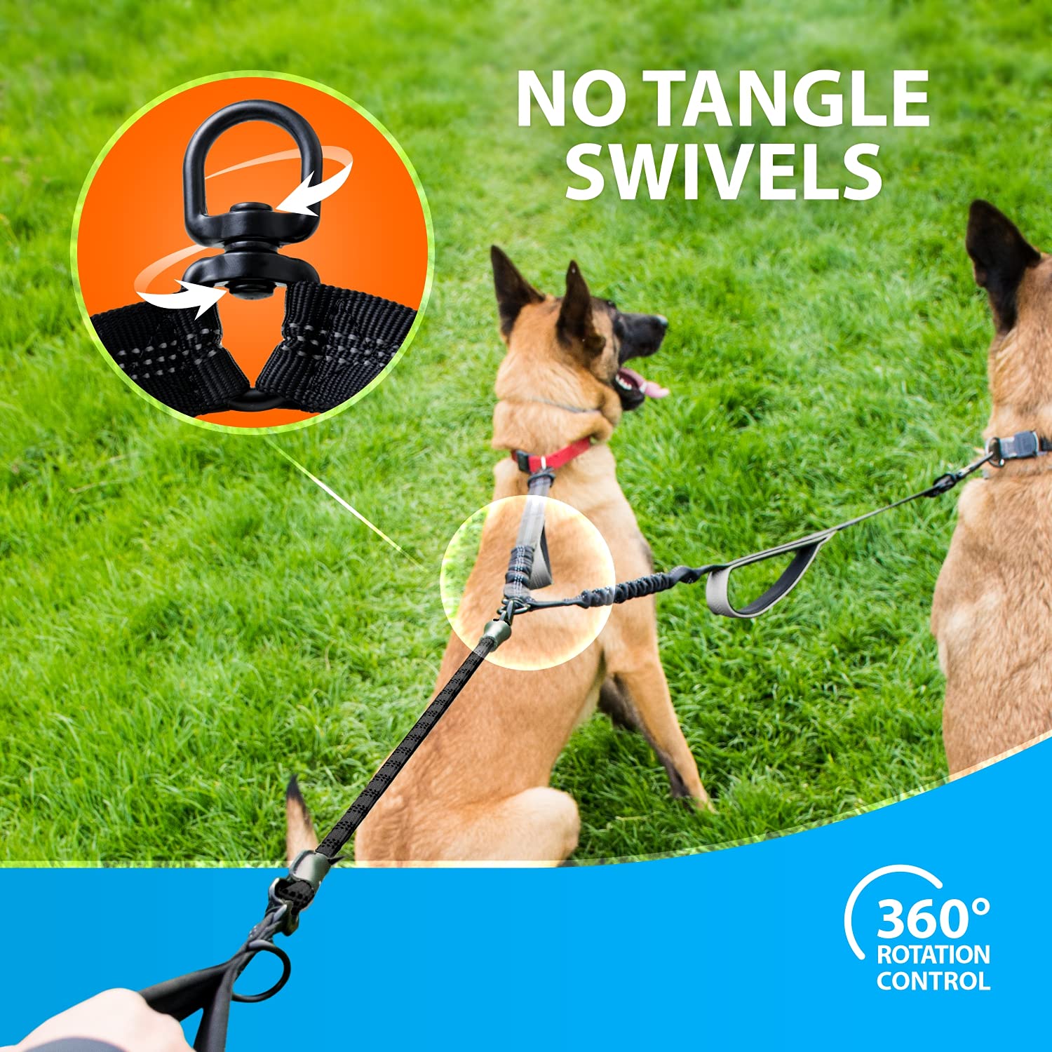 Rotation à 360° évitant les enchevêtrements lors des sorties avec deux chiens.