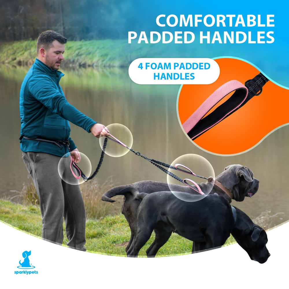 SparklyPets Laisse double avec clips inox pour une sécurité renforcée.