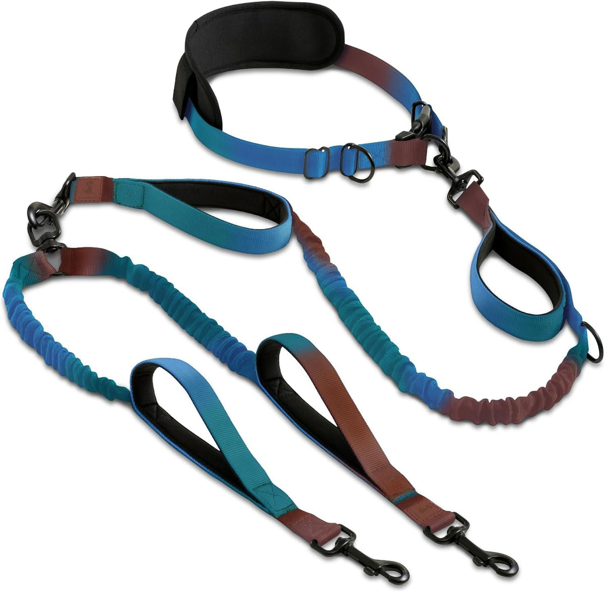 SparklyPets laisse double pour chiens au gradient bleu-vert, pratique pour des promenades coordonnées.