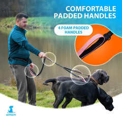 SparklyPets Système sans enchevêtement avec rotation à 360°, promenades fluides.