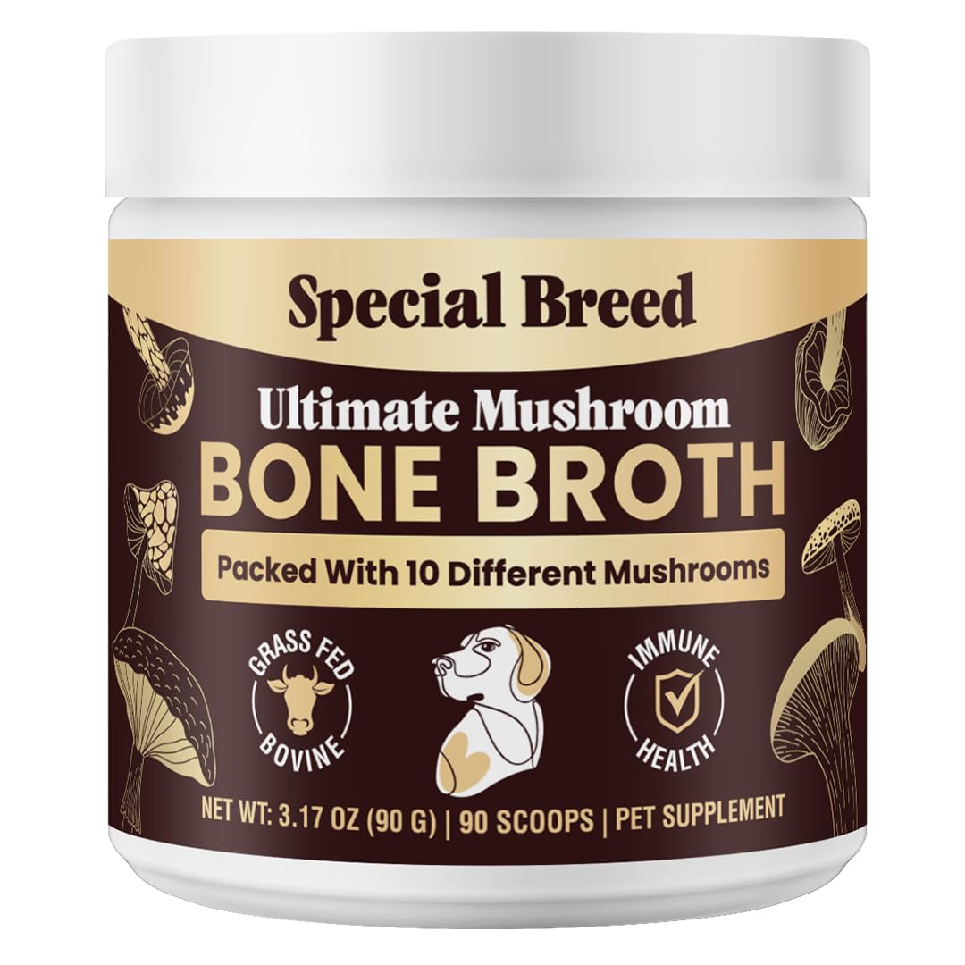 Special Breed bouillon-os-boeuf-chien: bouillon savoureux pour nourrir et hydrater les chiens.