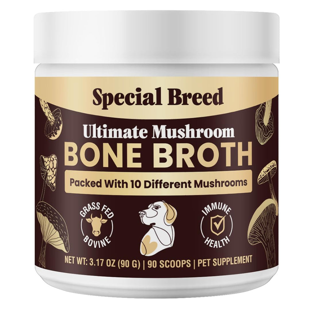 Special Breed bouillon-os-boeuf-chien: bouillon savoureux pour nourrir et hydrater les chiens.