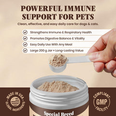 Special Breed champignon queue-dinde poudre assiette animaux – peut soutenir la digestion et l’équilibre intestinal