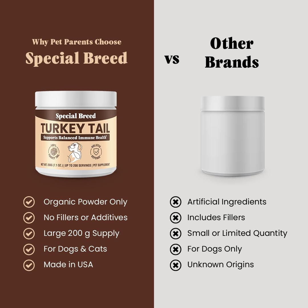 Special Breed champignon queue-dinde poudre immunite – contient bêta-glucanes et polysaccharides