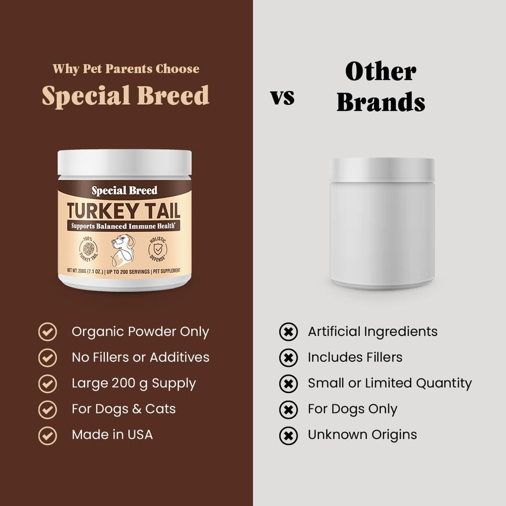 Special Breed champignon queue-dinde poudre immunite – contient bêta-glucanes et polysaccharides