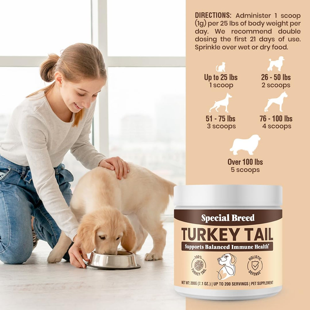 Special Breed champignon queue-dinde poudre respiration – soutien potentiel pour les voies respiratoires