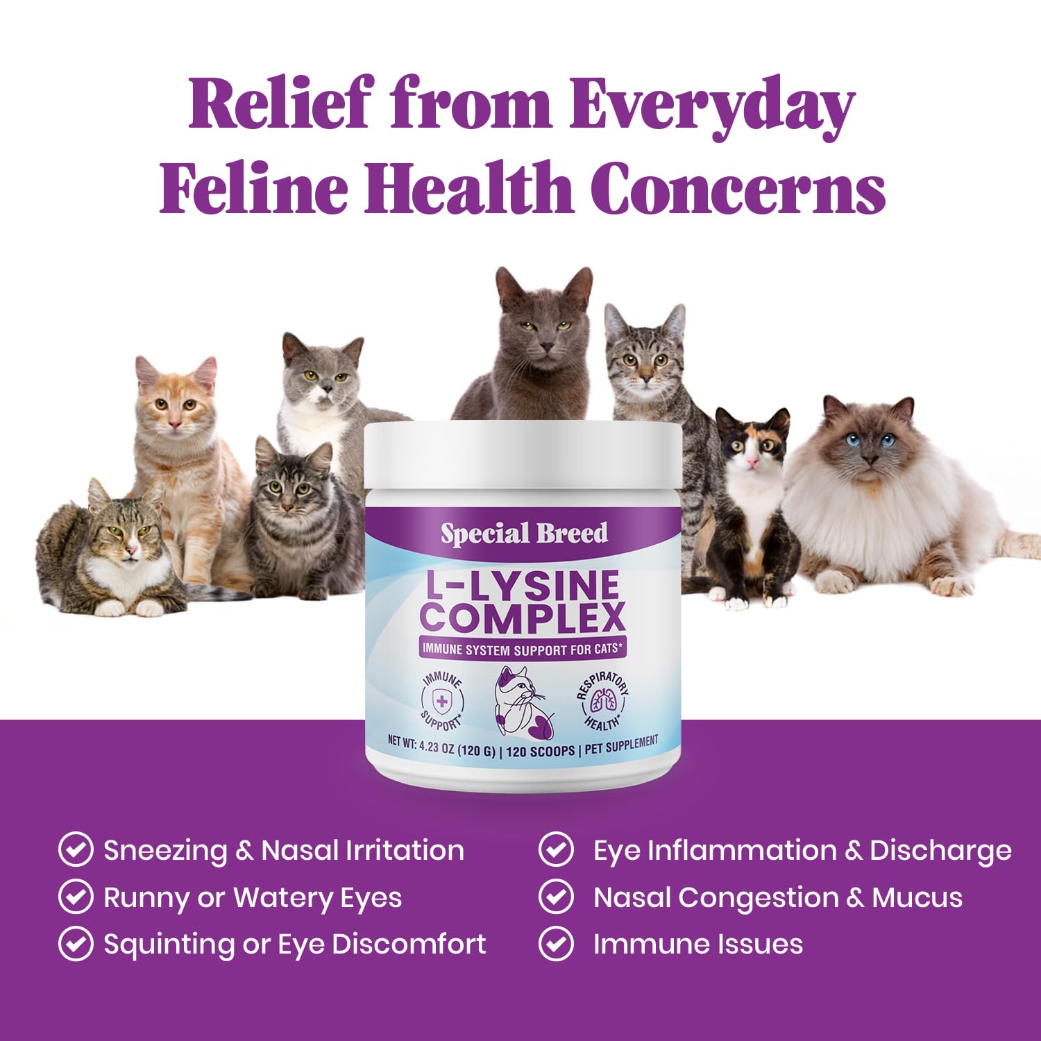 Special Breed Lysine pour chats: emballage pratique offrant 120 portions pour le quotidien.