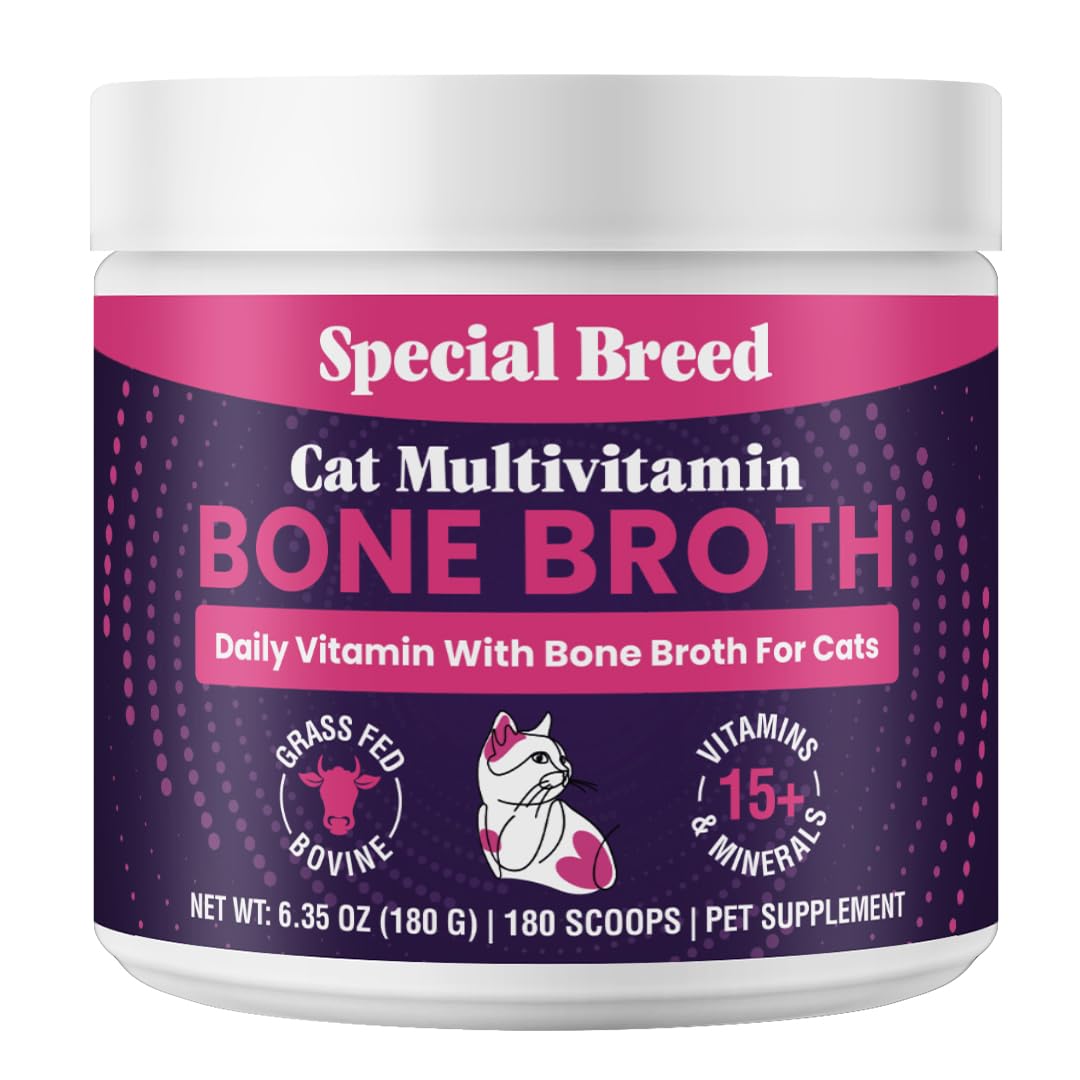 Special Breed poudre multivitamine pour chats, soutien immunitaire quotidien.