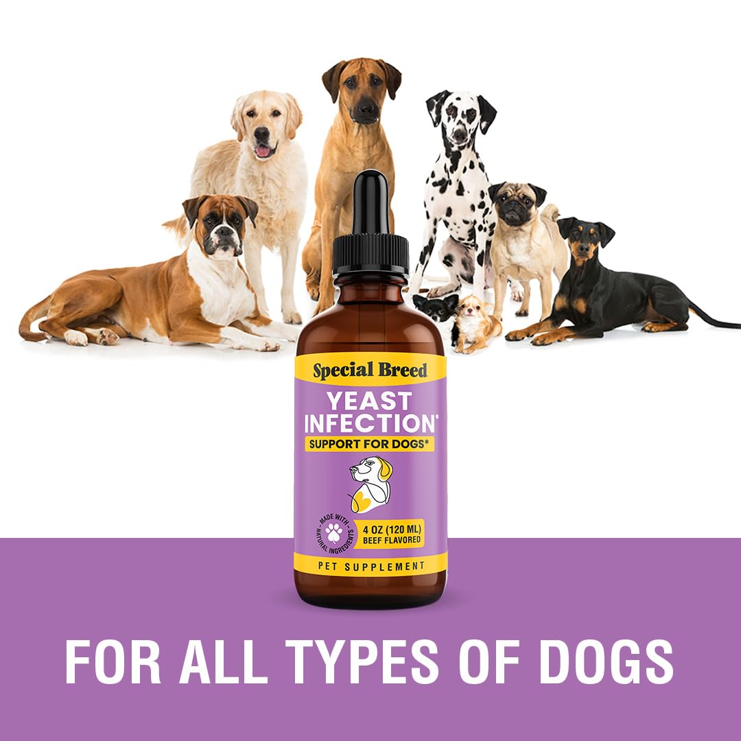 Special Breed chiens soulagent démangeaisons grâce à cette formule.