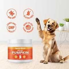 Special Breed Citrouille Ultime cuillère-doseur pour saupoudrer sur les repas.