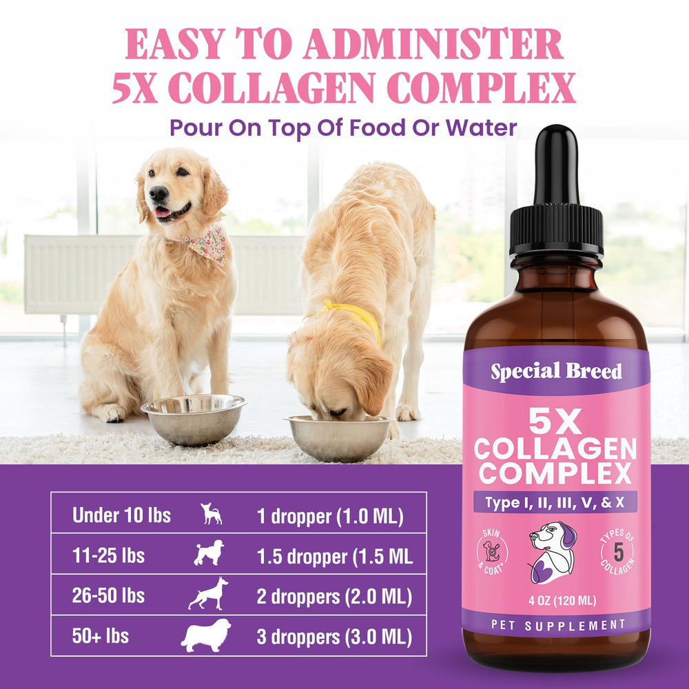 Special Breed Collagène : soutien du système immunitaire et vitalité.