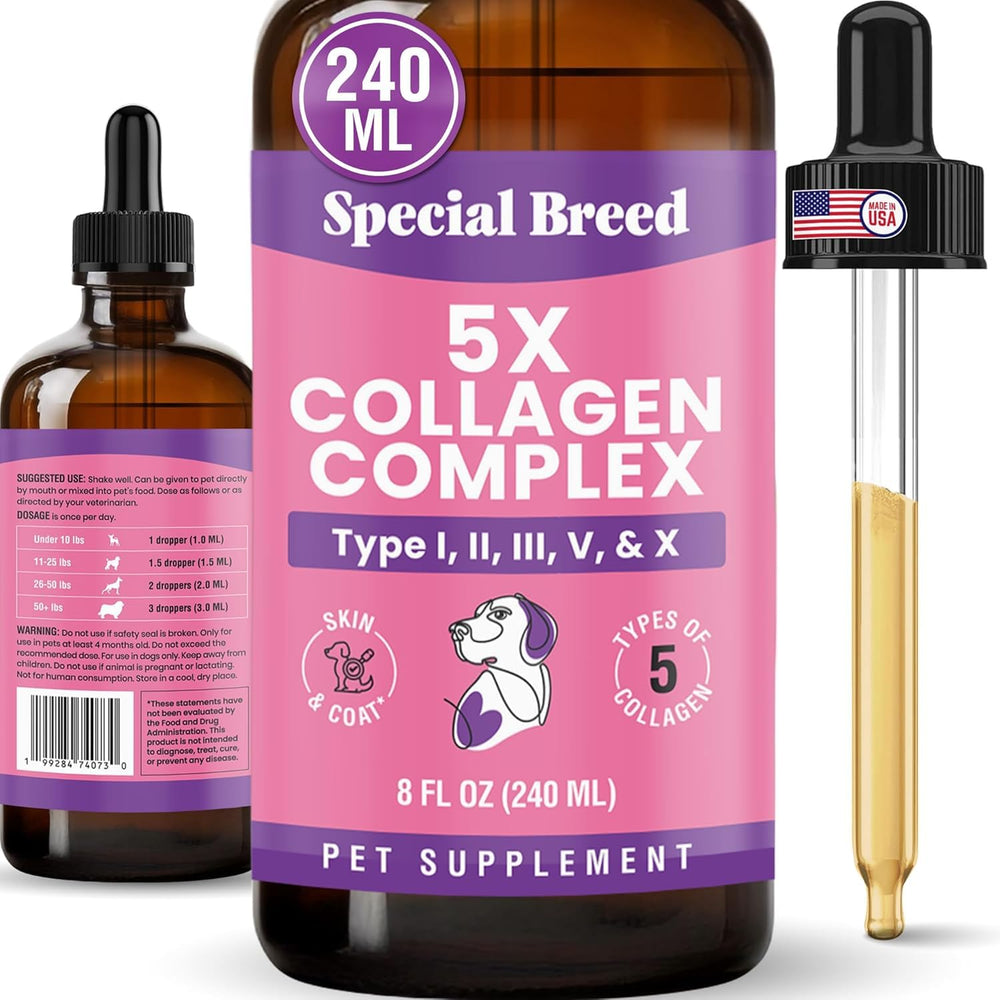 Special Breed collagène pour chien – bouteille visible, soutien articulations.