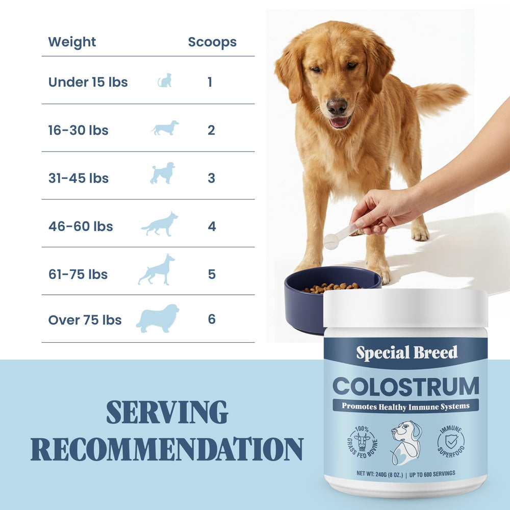 Special Breed Colostrum Bovin chien et chat utilisant le produit pour peau et pelage.