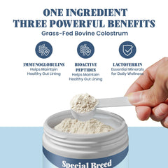 Special Breed Colostrum poudre dans bol – intégration simple à l’alimentation.