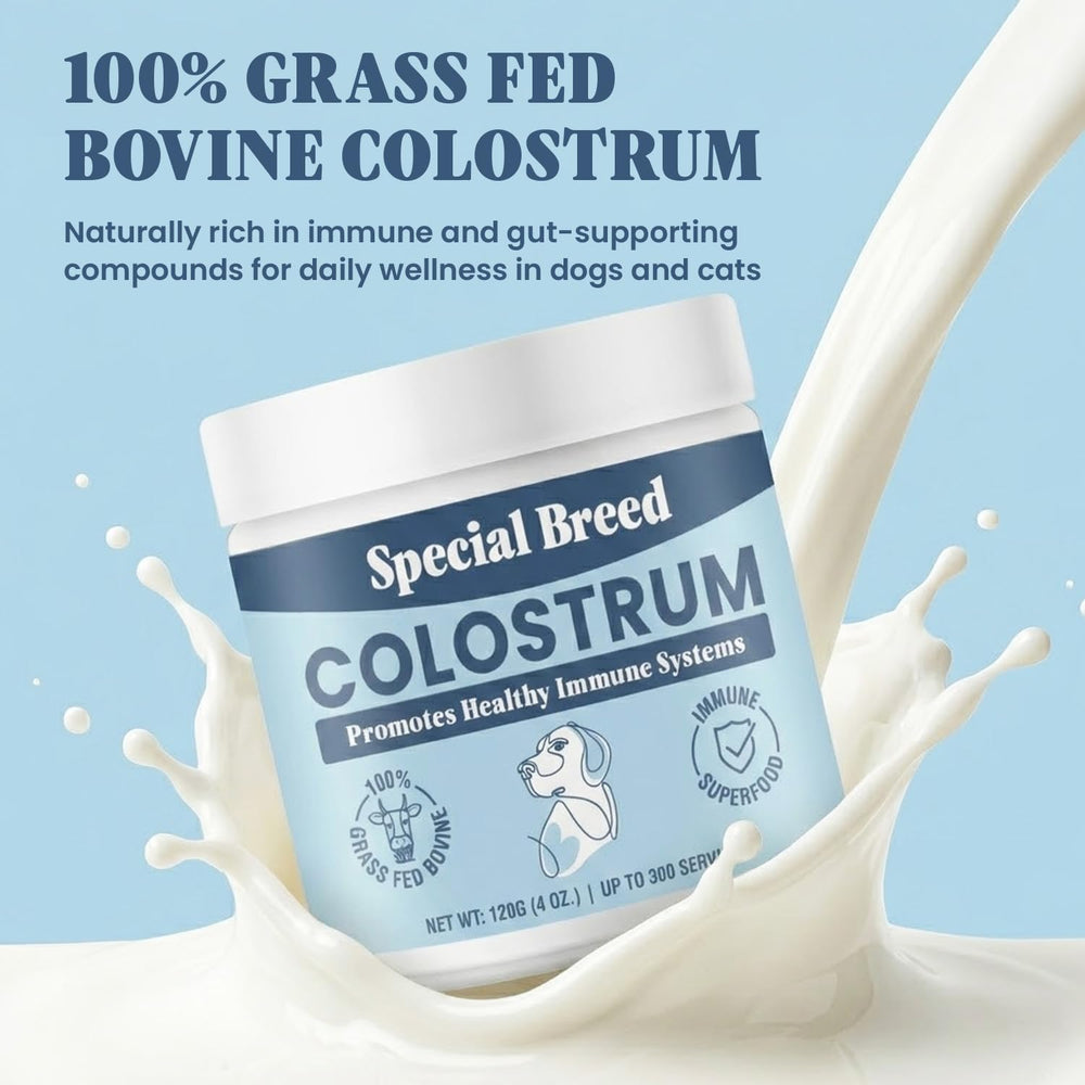Special Breed Colostrum – complément naturel pour le bien-être des animaux.