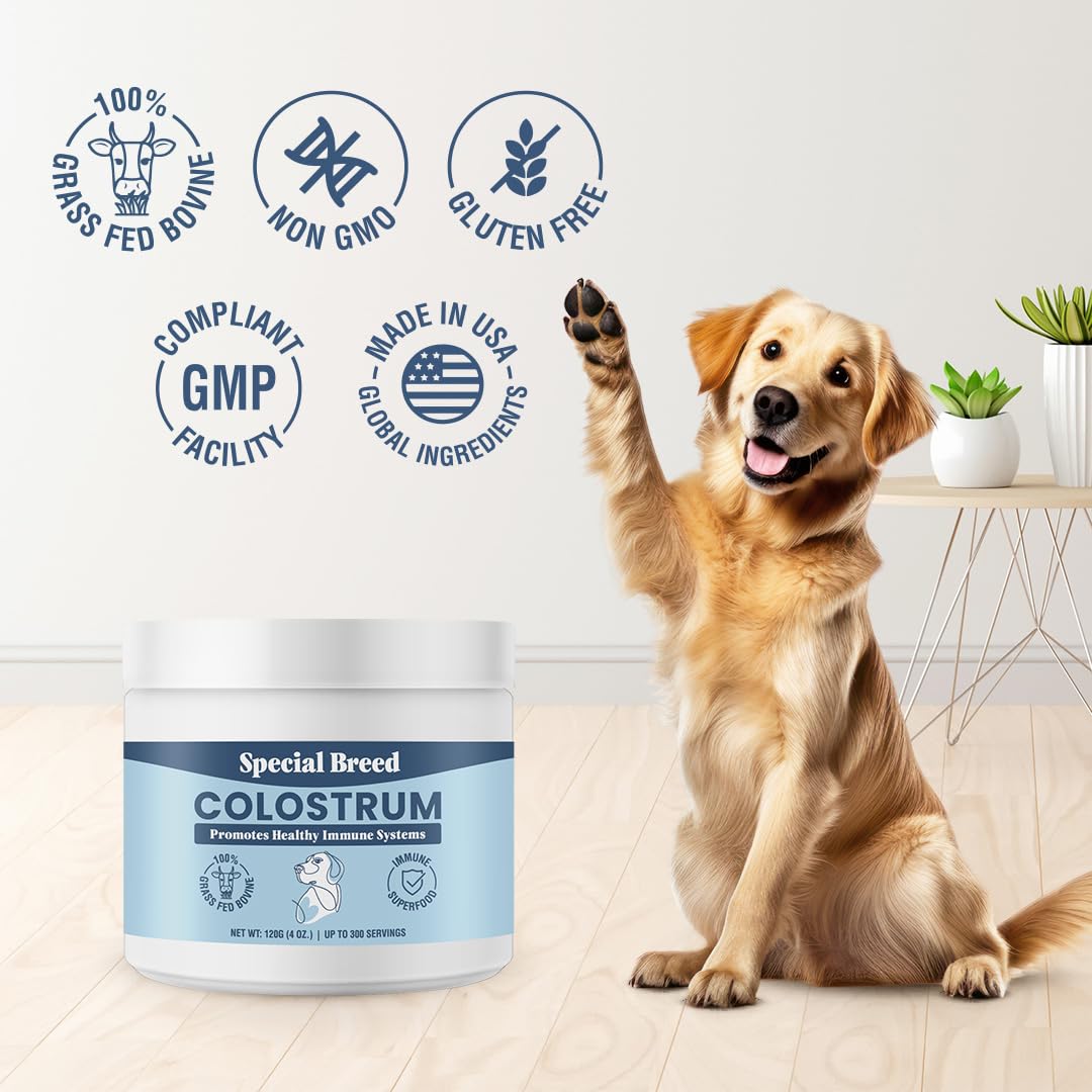 Special Breed Colostrum – pratique à emporter pour déplacements et voyages.