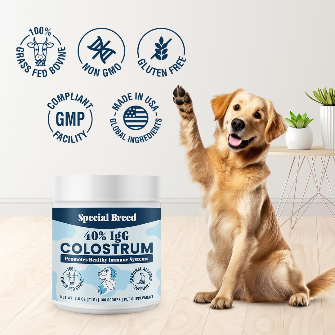 Special Breed Poudre quotidienne – dosage pratique pour chiens actifs.
