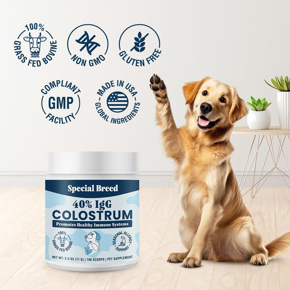 Special Breed Poudre quotidienne – dosage pratique pour chiens actifs.