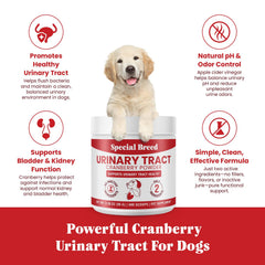 Doseur pratique montrant le dosage facile pour le chien.