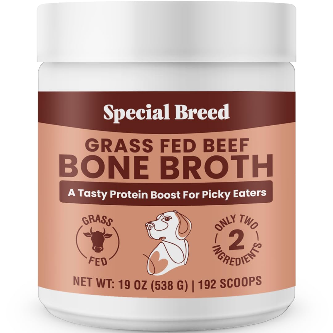 Special Breed Bouillon d'os en poudre — emballage prêt à l’emploi pour stimuler l’appétit.