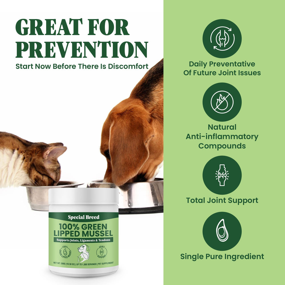 Special Breed Emballage poudre moules vertes, dosage pratique pour une administration facile.