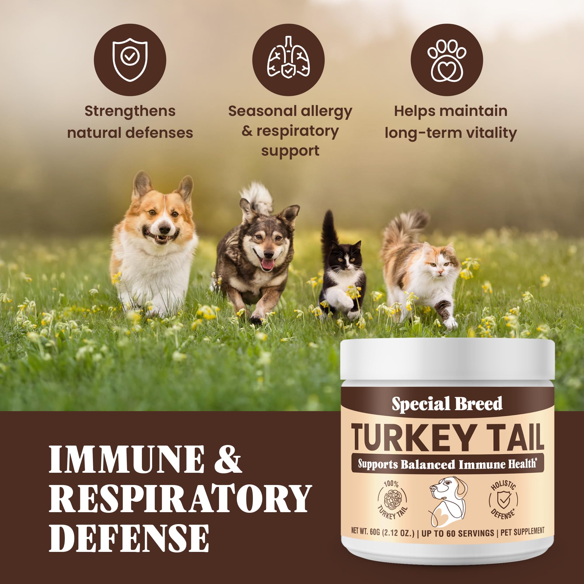 Special Breed formule pure sans additifs, simplicité et clarté nutritionnelle
