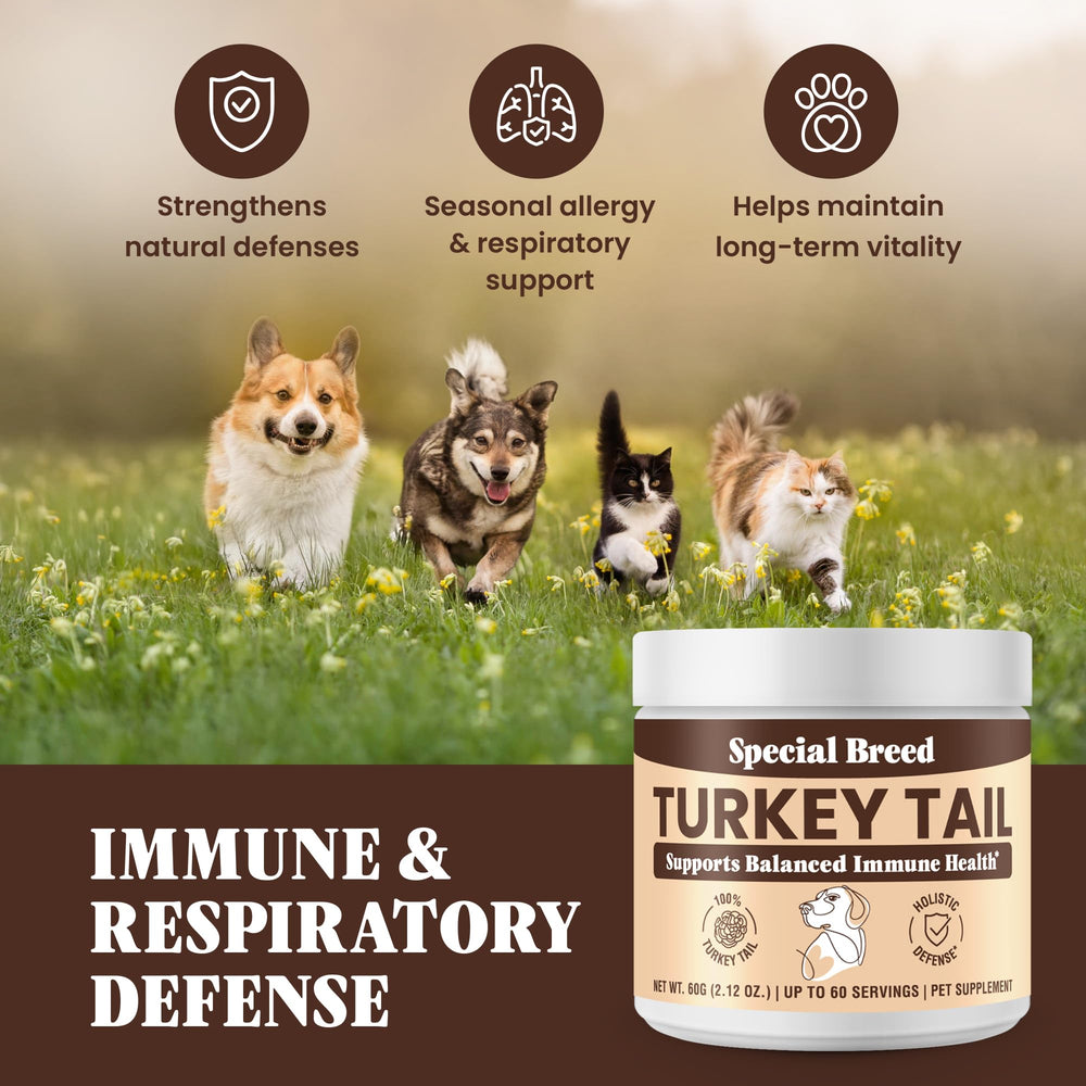 Special Breed formule pure sans additifs, simplicité et clarté nutritionnelle