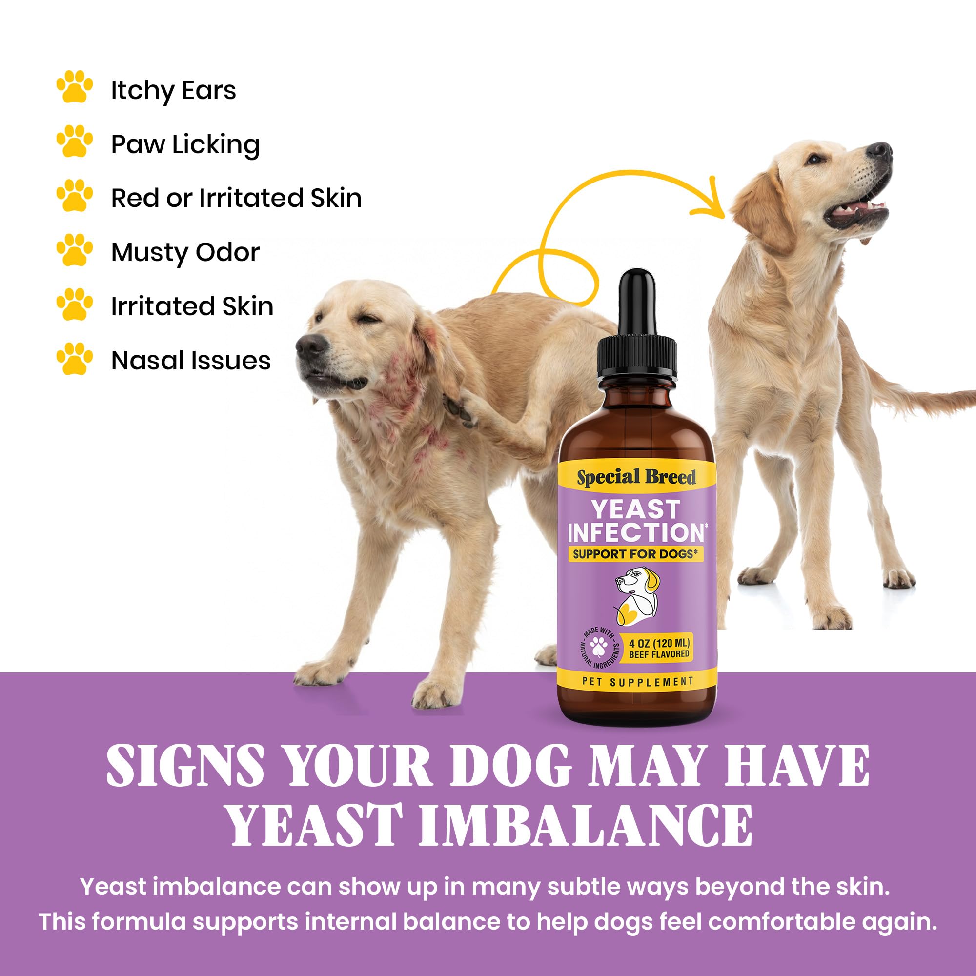 Special Breed gouttes dans l’eau du chien pour une consommation simple.