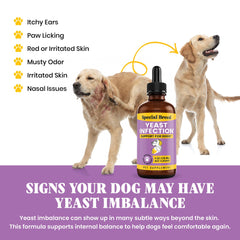 Special Breed gouttes dans l’eau du chien pour une consommation simple.