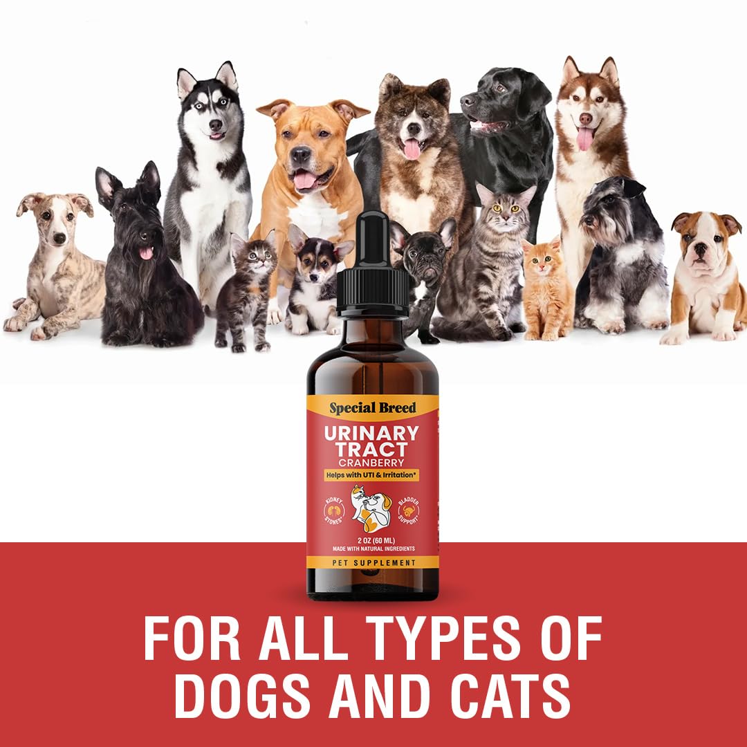 Prêt à utiliser Special Breed – dose facile à donner.