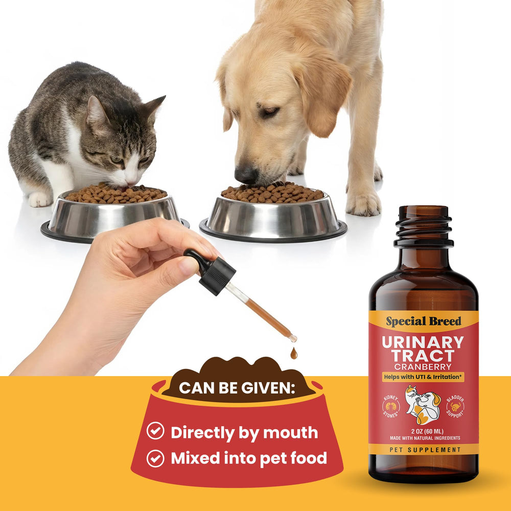 Utilisation chat avec Special Breed – soutien urinaire doux.