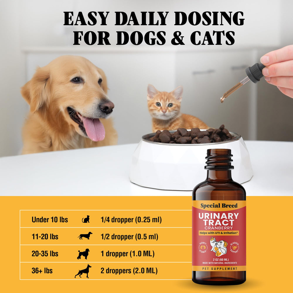 Utilisation chien avec Special Breed – aide potentielle pour la fréquence.