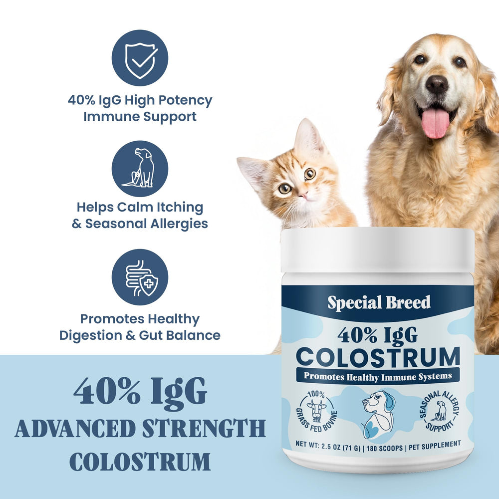 Special Breed IgG 40% colostrum – flacon, soutien digestif prébiotique potentiel.