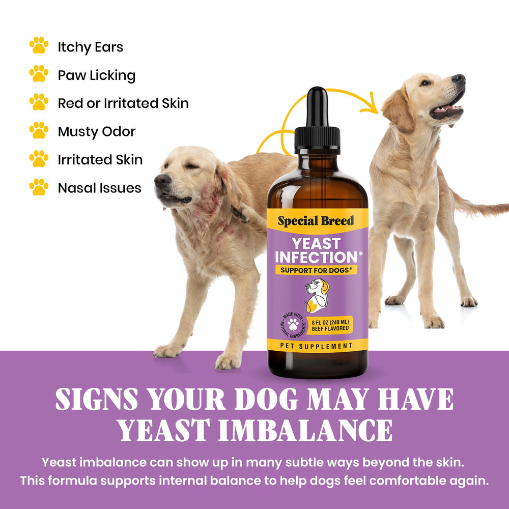 Special Breed ingredients-naturels-levure chien, formulation douce pour le confort quotidien